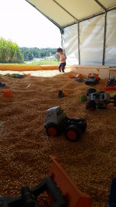 Hathaway Farm & Corn Maze