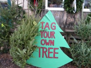 Dutton Berry Farm - Tag Your Own Christmas Tree