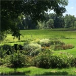 WillowPond_grounds