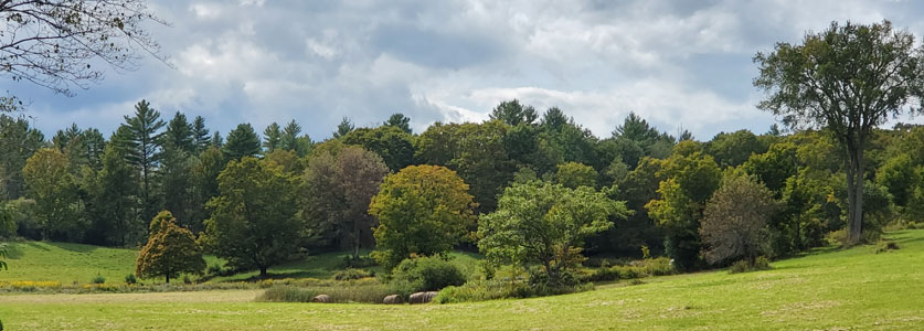 09/10/19 Foliage near Taylor Farm in Londonderry, VT by Renee-Marie Smith