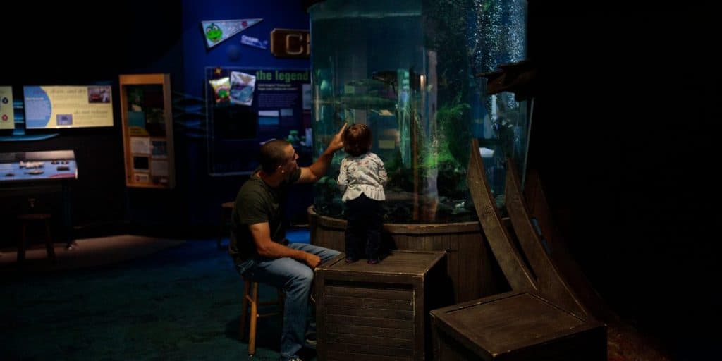 ECHO, Leahy Center for Lake Champlain - Dad and Kid looking at Fish