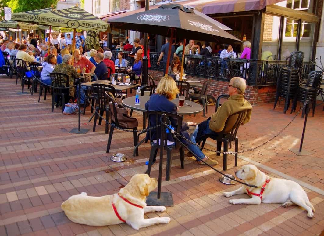 Church Street Marketplace - Dog Friendly Outdoor Dining