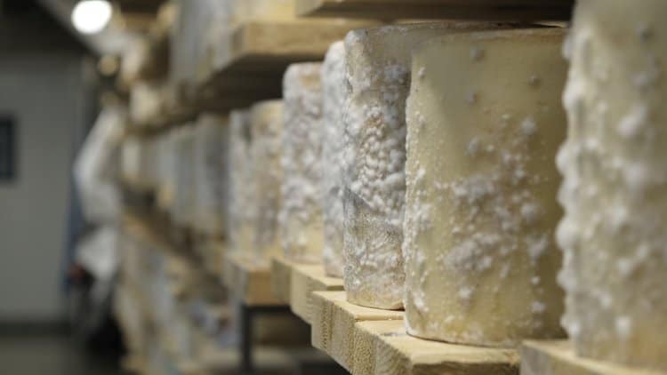 The Cellars at Jasper Hill Farm - Natural Rind Cheeses