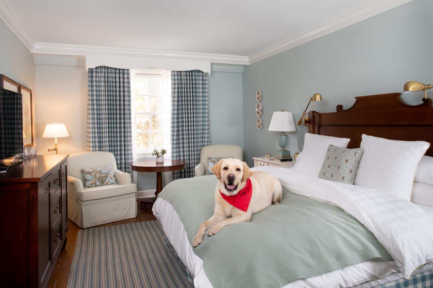 Woodstock Inn - Pet Friendly - Queen Bed with Dog