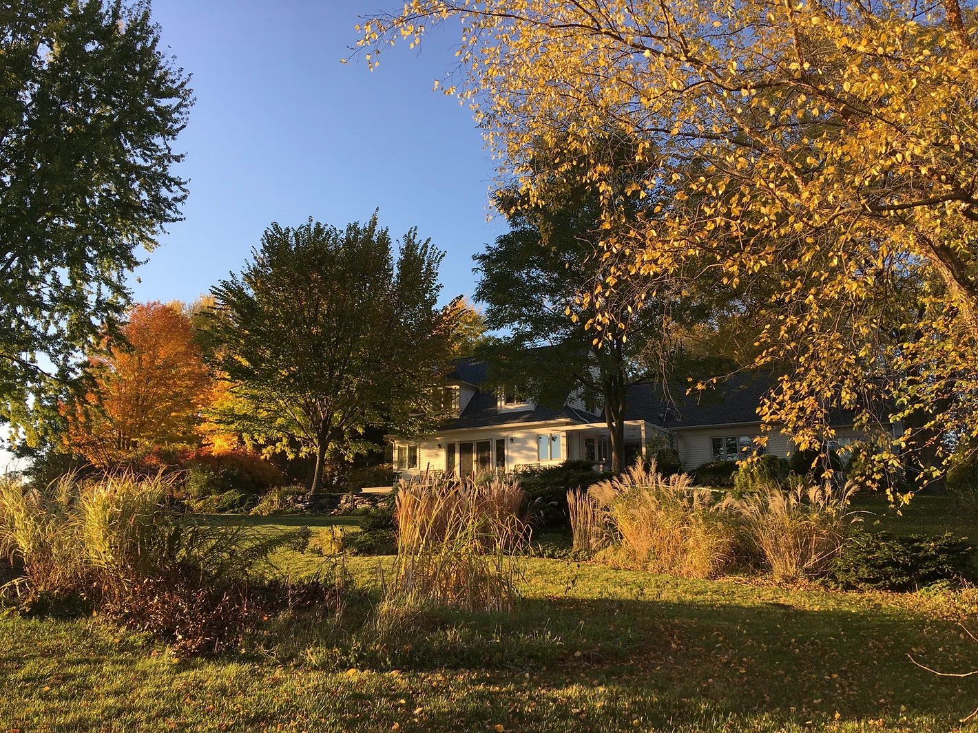 Willow Pond Farm Bright Autumn Day Front Of HouseWillow Pond Farm Bright Autumn Day Front Of HouseWillow Pond Farm Bright Autumn Day Front Of House