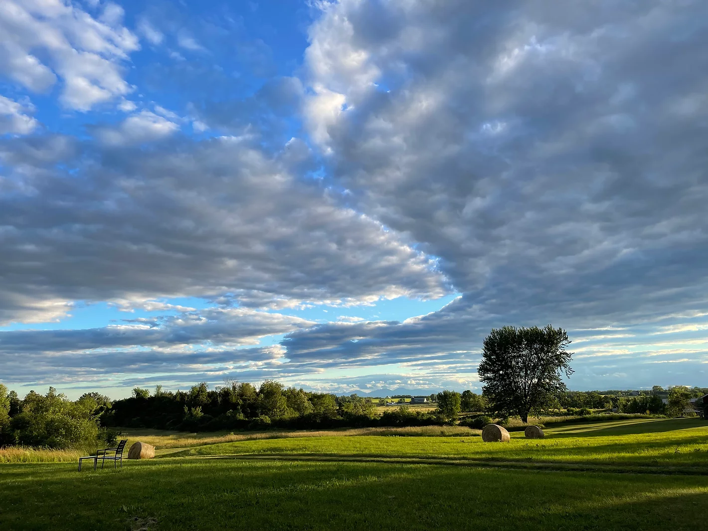 Willow Pond Farm July Sky