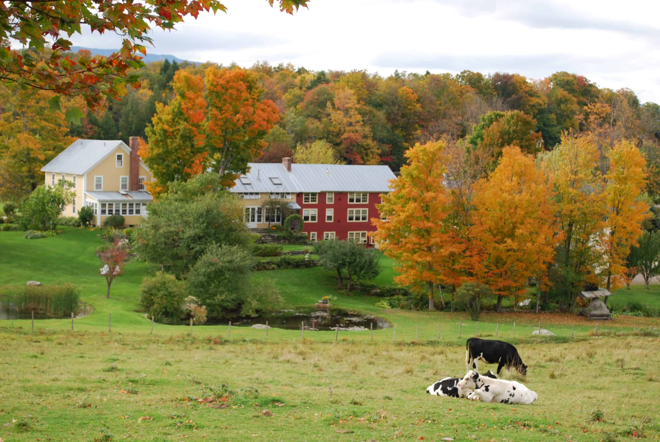 Inn at the Round Barn Farm - Fall Exterior Property with Cows and Pond