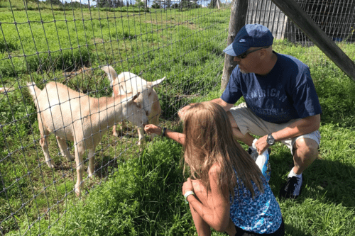 Bragg Farm - Farm Goats