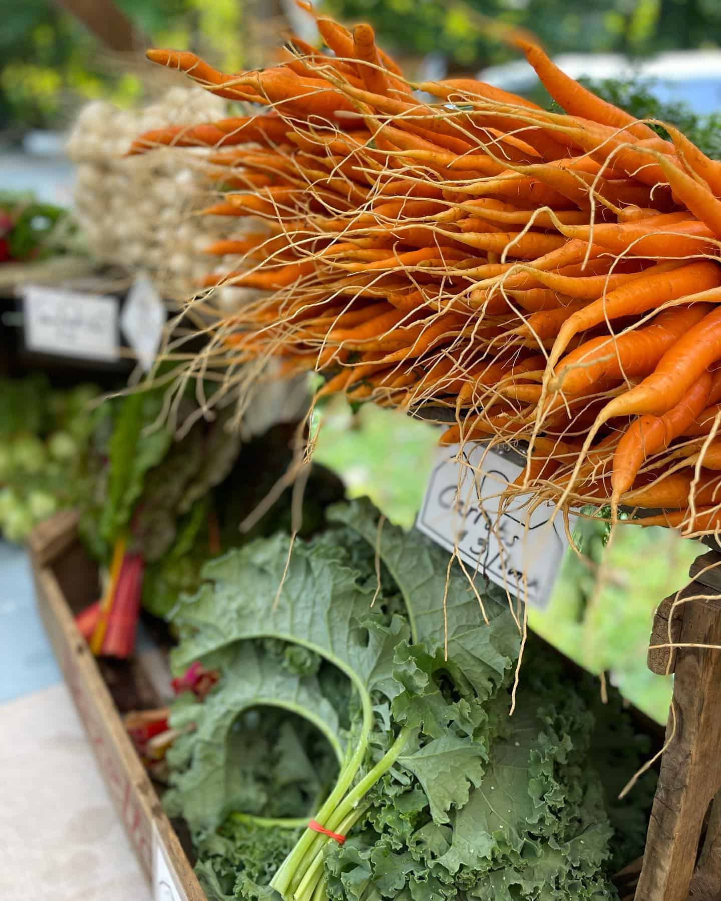 Brattleboro Area Farmers Market Fesh Veggies Carrots