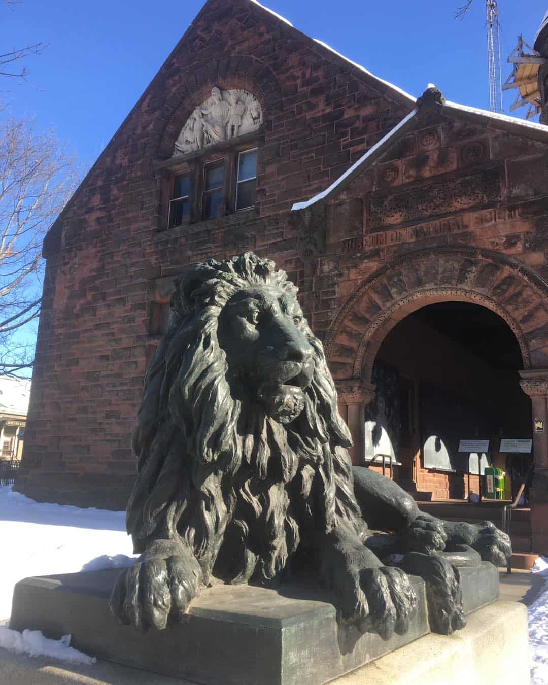 Fairbanks Museum - Lion Statue and Exterior