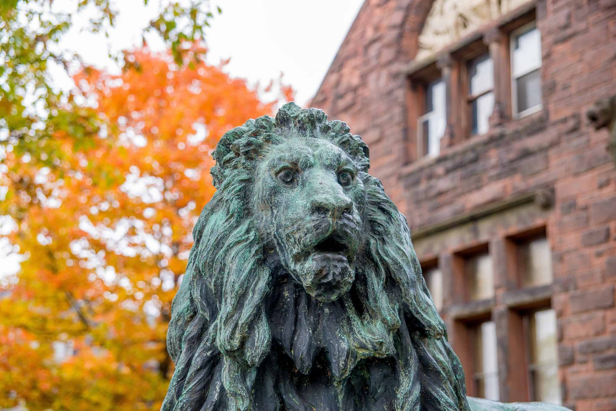 Fairbanks Museum - Lion Statue