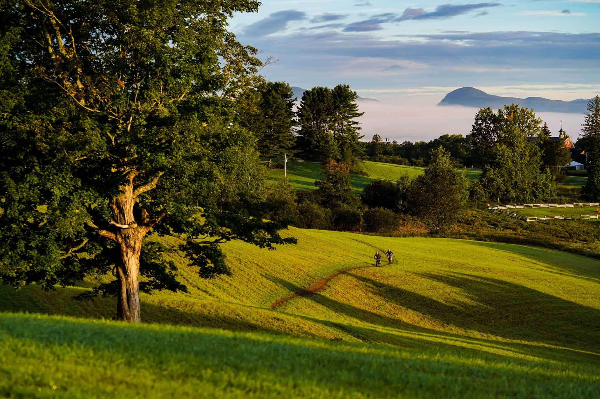 Kingdom Trails Sunset Field with Mountain Bike