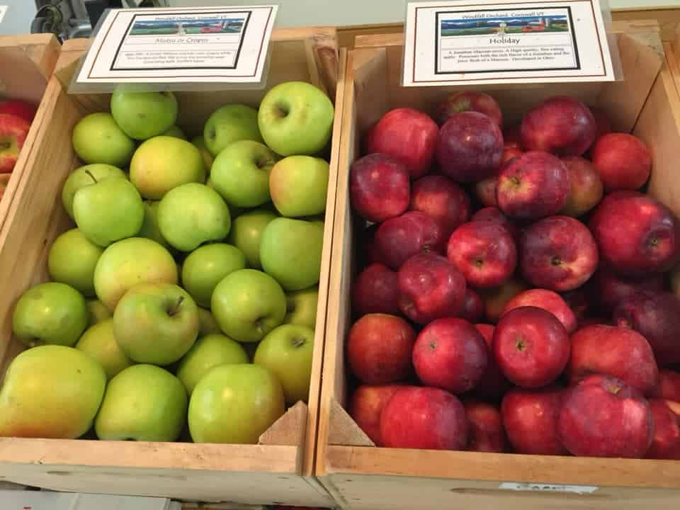 Middlebury Farmers Market Apples on Display
