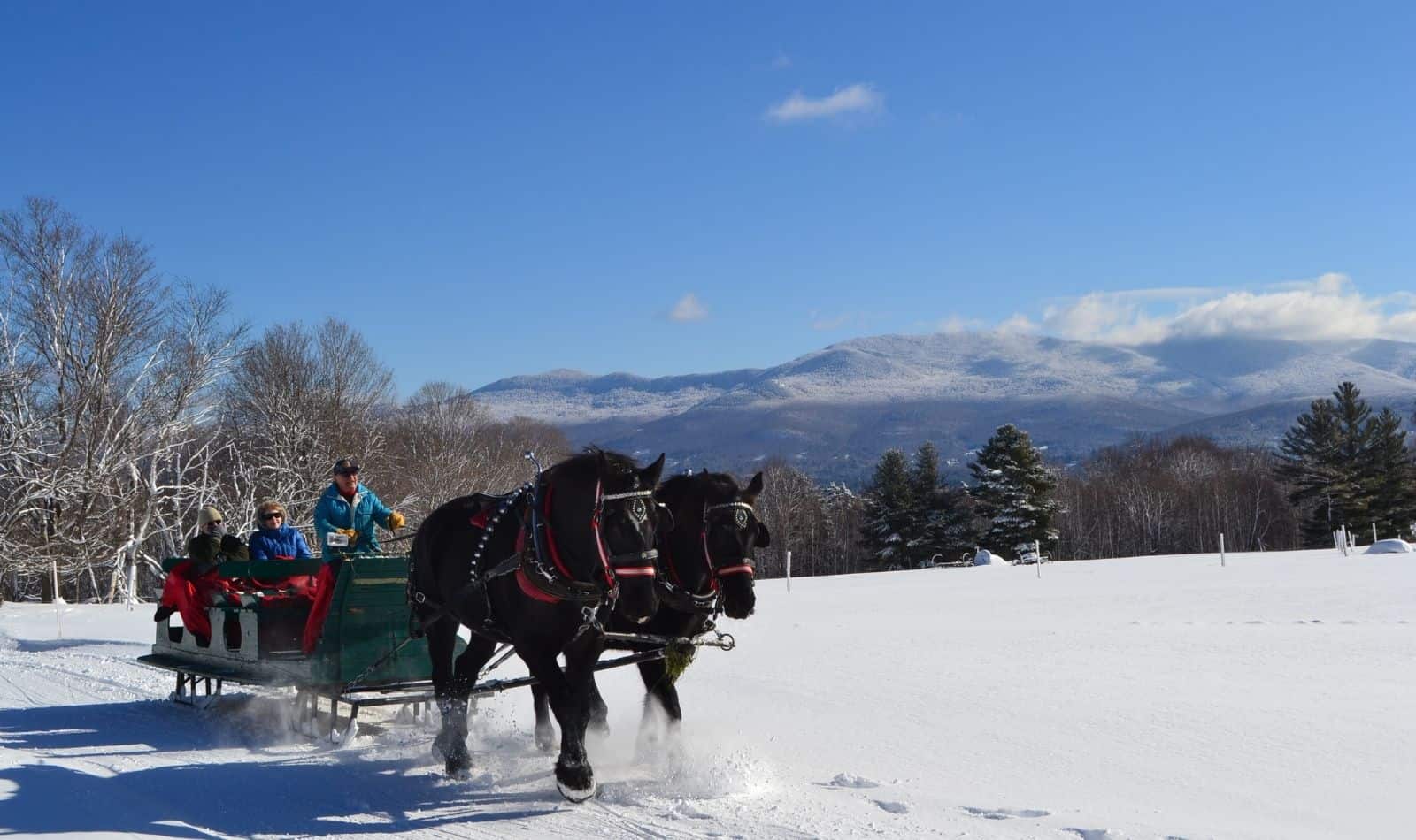 Outdoor Center at Trapp Family Lodge - Sleigh Rides