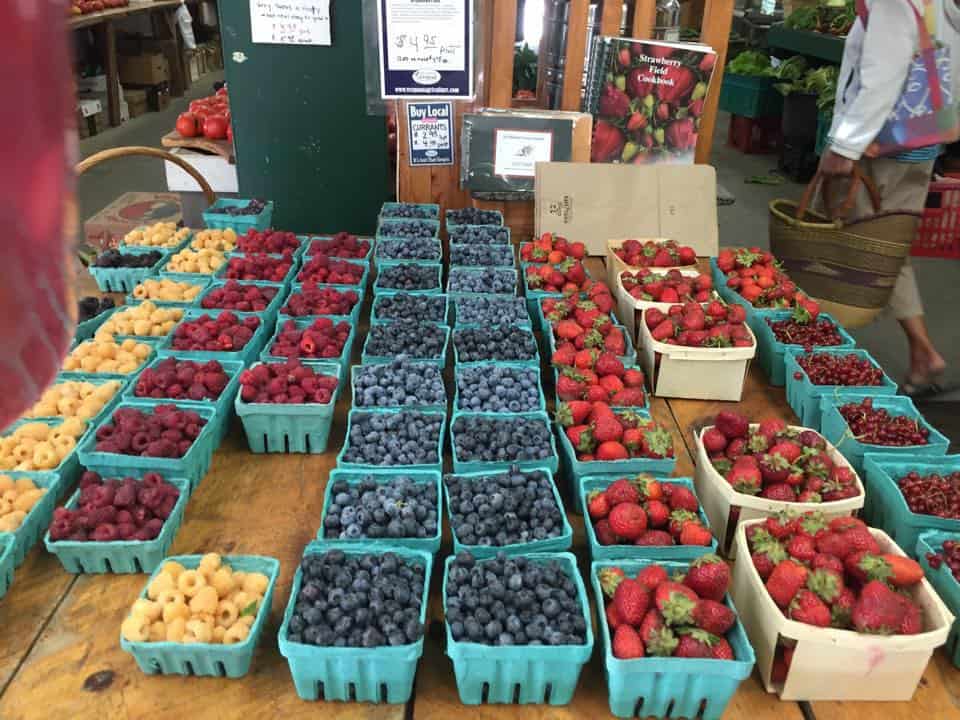 Dutton Berry Farm - Berries